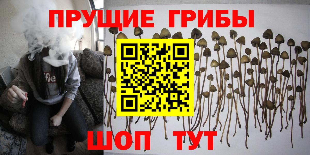 Псилоцибиновые грибы Psilocybe  Псилоцибиновые грибы мухоморы  Красноармейск  Вход с VPN 